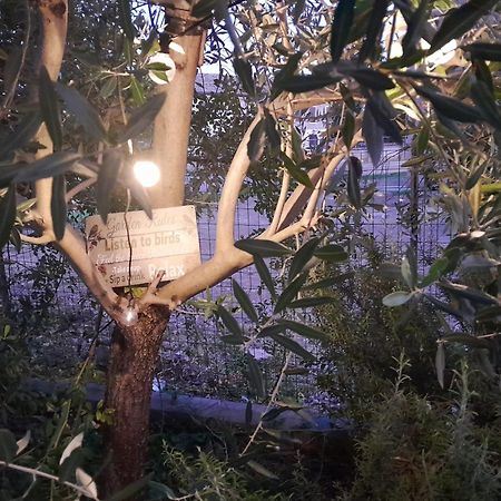 Casita Esperanza Διαμέρισμα Copparo Εξωτερικό φωτογραφία