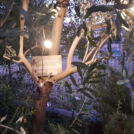 Casita Esperanza Διαμέρισμα Copparo Εξωτερικό φωτογραφία