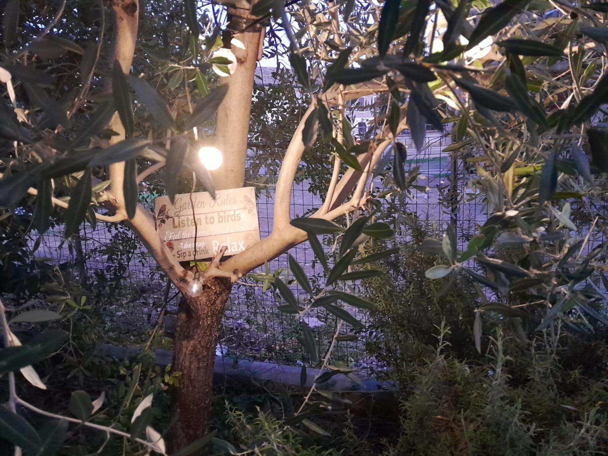 Casita Esperanza Διαμέρισμα Copparo Εξωτερικό φωτογραφία