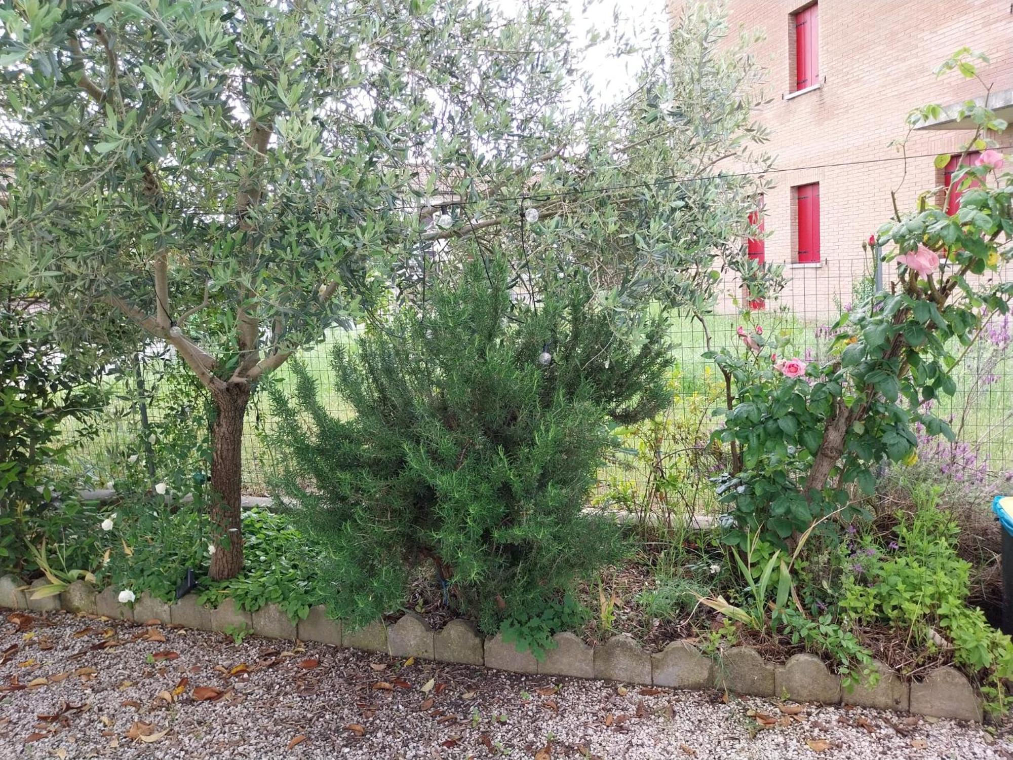 Casita Esperanza Διαμέρισμα Copparo Εξωτερικό φωτογραφία