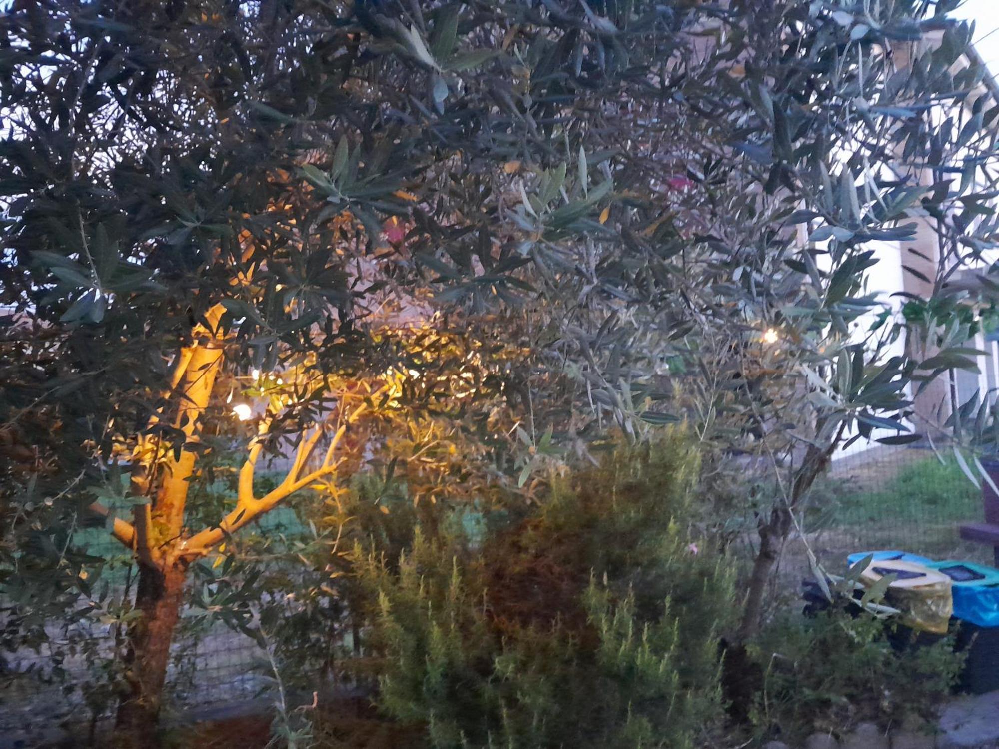 Casita Esperanza Διαμέρισμα Copparo Εξωτερικό φωτογραφία